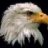strike-eagle